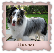 Hudson