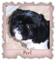 Perl