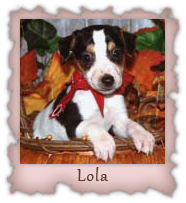 Lola
